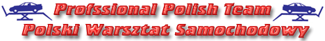 PROFESSIONAL POLISH TEAM - POLSKI WARSZTAT SAMOCHODOWY