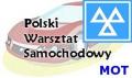 PROFESSIONAL POLISH TEAM - POLSKI WARSZTAT SAMOCHODOWY