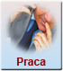 Praca