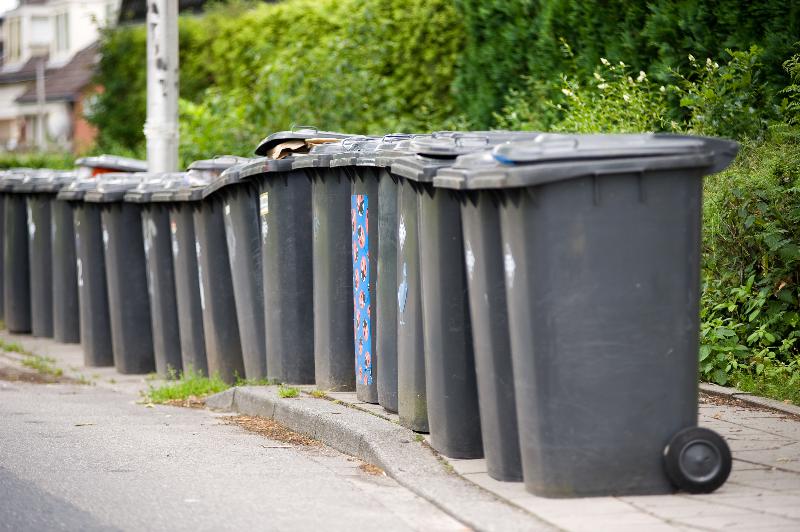 Rządowe cięcia mogą wywołać inwazję szczurów