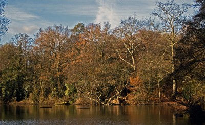 2084311997_cdab36e3f5.jpg (164.42 KiB) Przeglądane 12947 razy 2084311997_cdab36e3f5.jpg