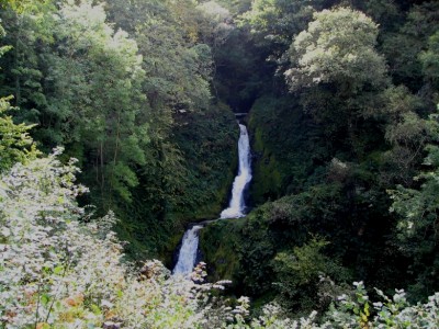 Dolgoch_Falls_Walk_Upper_Falls.jpg