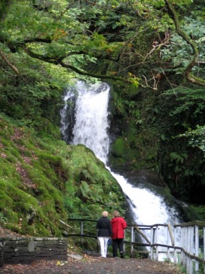 Dolgoch_Falls_Walk_Lower_Falls.jpg