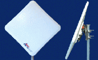 plask1.gif