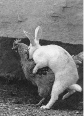 easter eggs.jpg