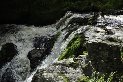 _DSC2961.JPG (439.47 KiB) Przeglądane 10248 razy _DSC2961.JPG