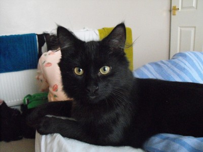 DSCF5239.JPG