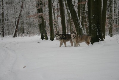 IMG_1593.JPG