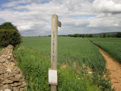 Cotswold way.JPG