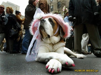 fun_joke_pictures_0061.jpg