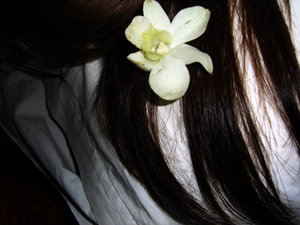 White_flower_in_dark_water_by_biancabloody.jpg