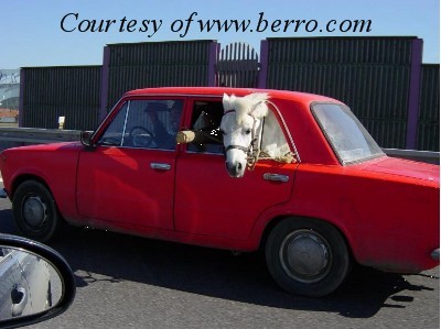 funny_ferrari_picture_horse_red_car.jpg (39.94 KiB) Przeglądane 4974 razy funny_ferrari_picture_horse_red_car.jpg