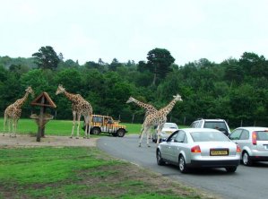 West Midland Safari Park